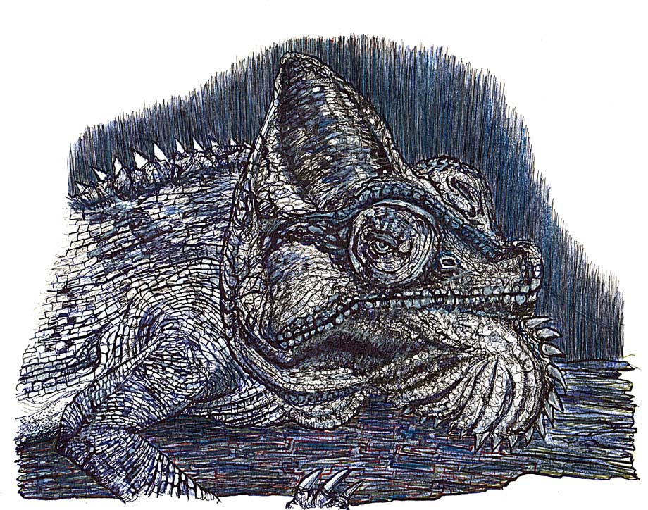 Illustration mit Tusche von einem Chamäleon