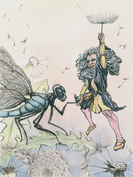 Illustration Leonardo da Vinci Kinderbuch Libelle