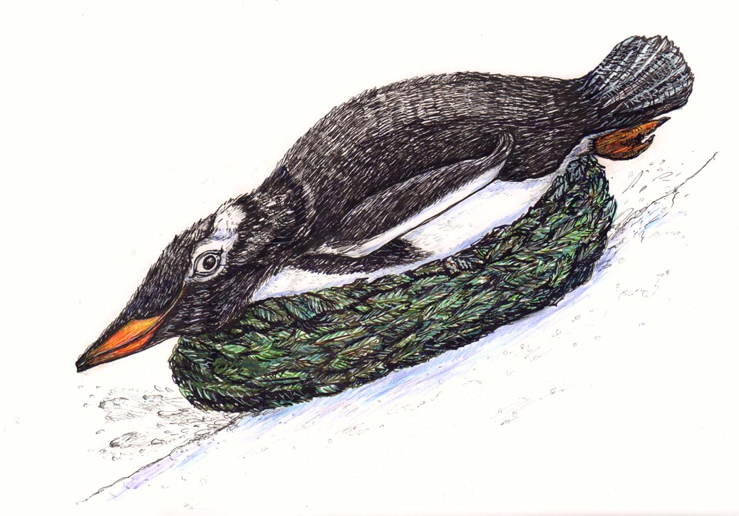 Illustration Pinguin Schlitten