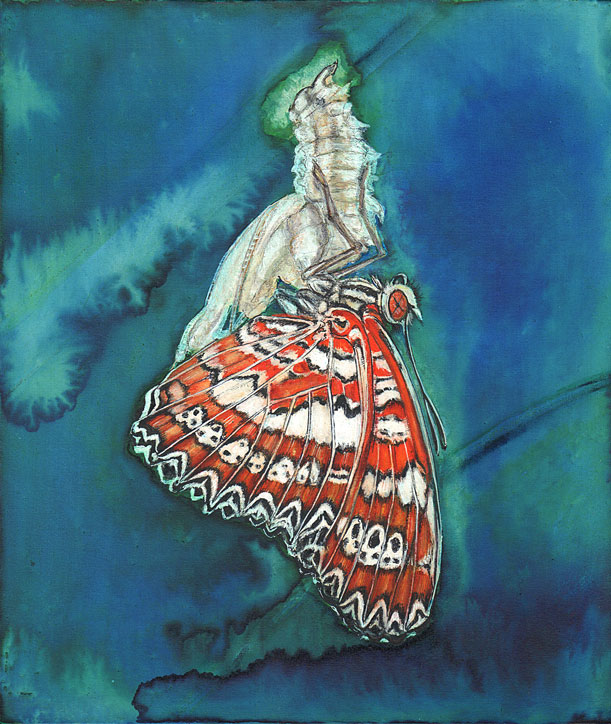 Illustration eines Schmetterlings